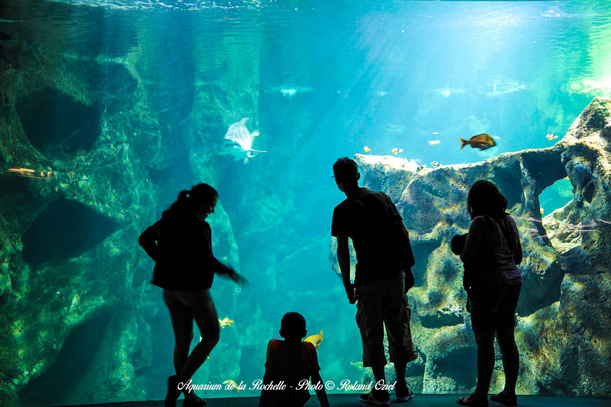aquarium La Rochelle